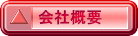 ЊTv